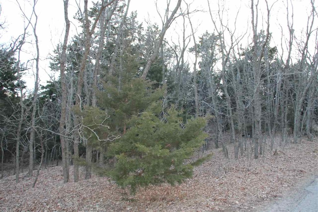 Picture 2