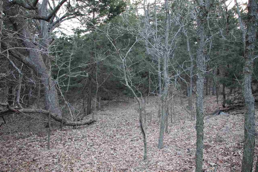 Picture 4
