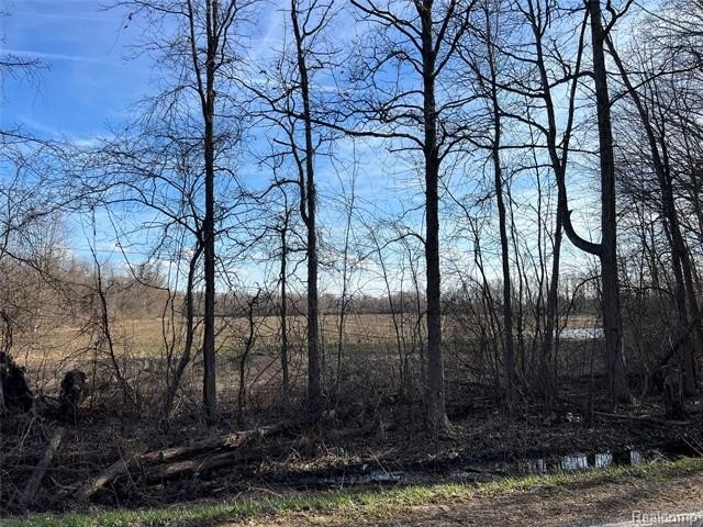 Mayfield Twp Vacant Land