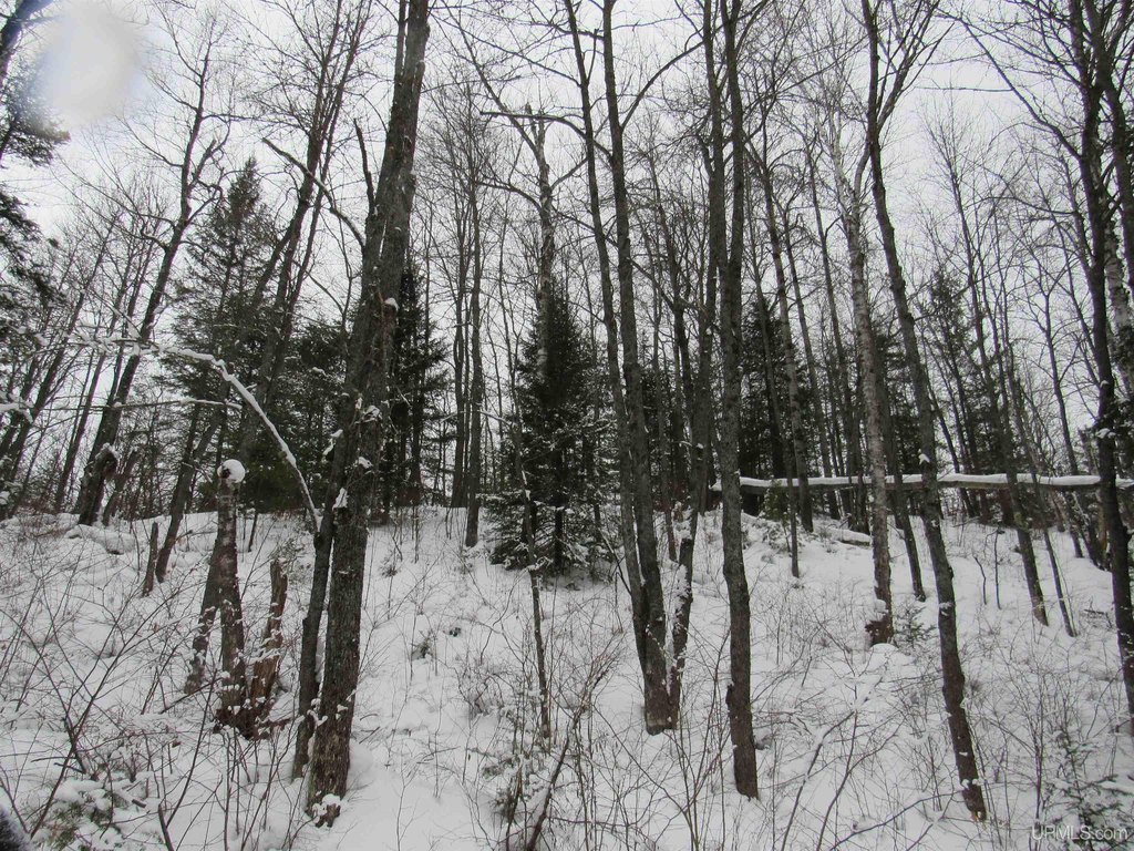 Picture 27