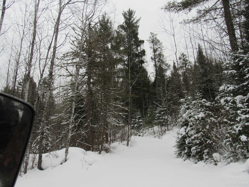 Picture 37