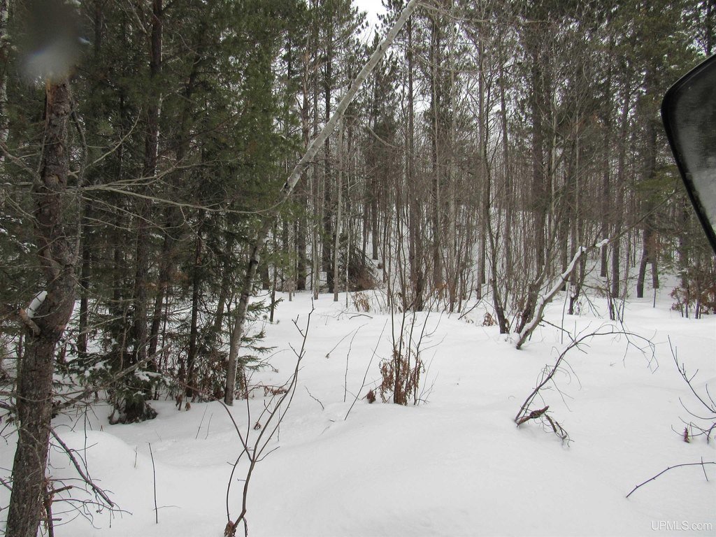 Picture 11