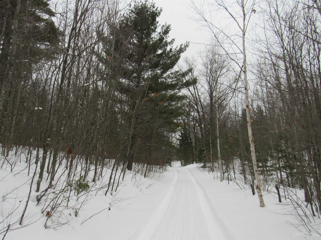 Picture 43