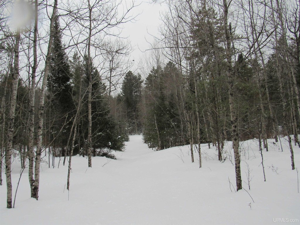 Picture 14