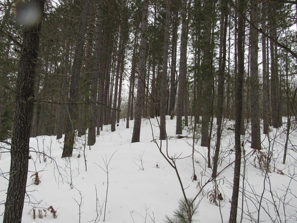 Picture 8