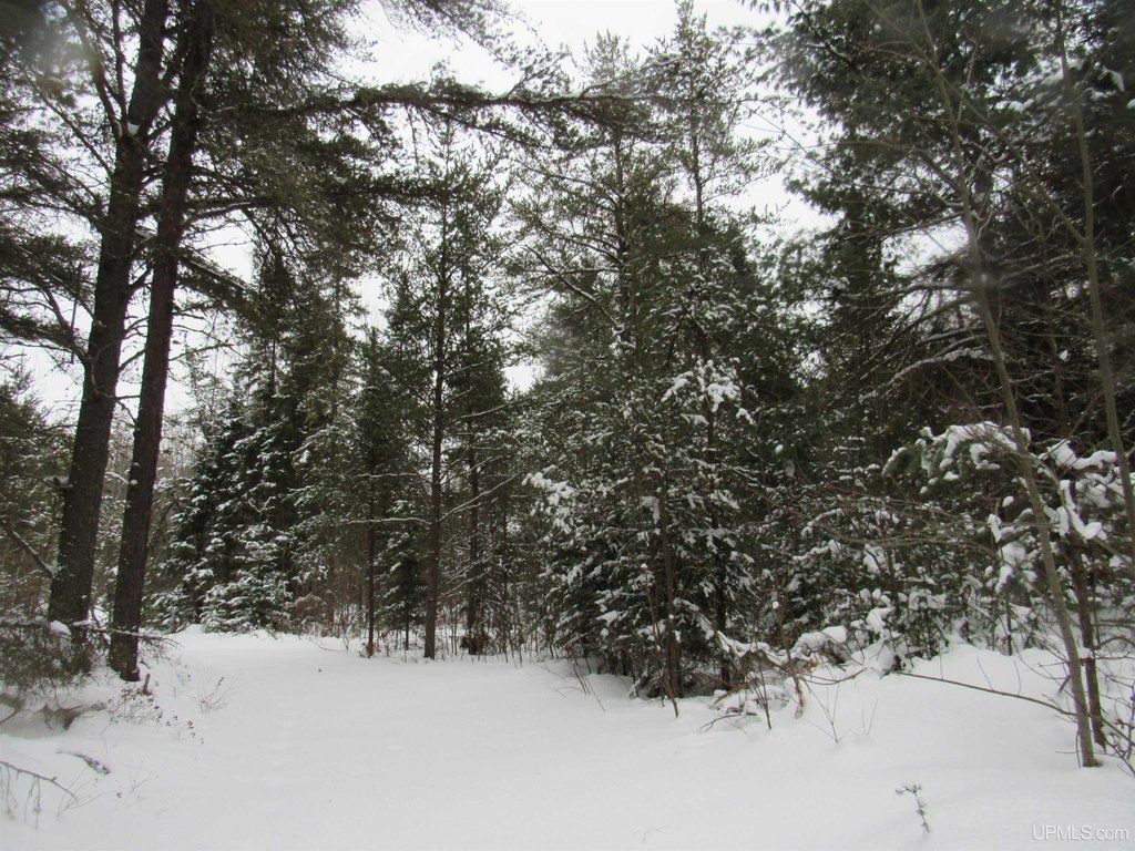Picture 30