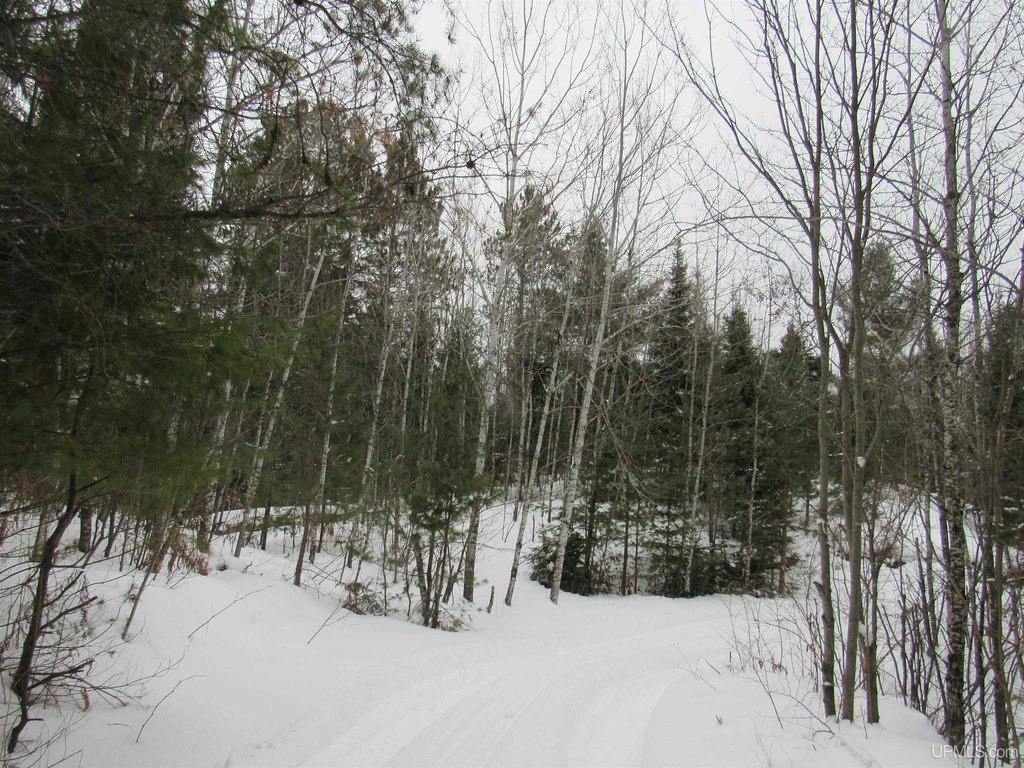 Picture 33