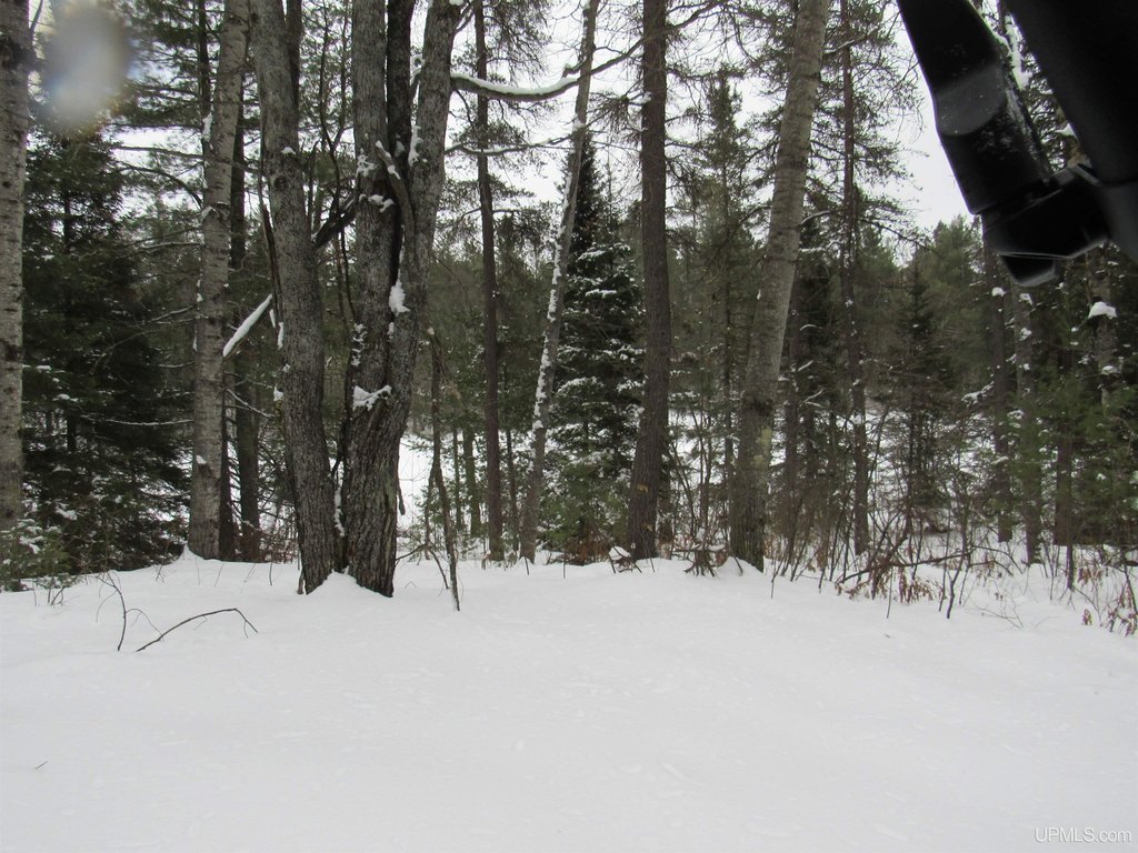 Picture 21
