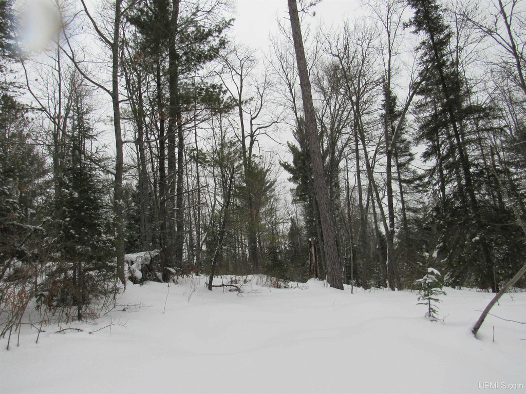 Picture 24