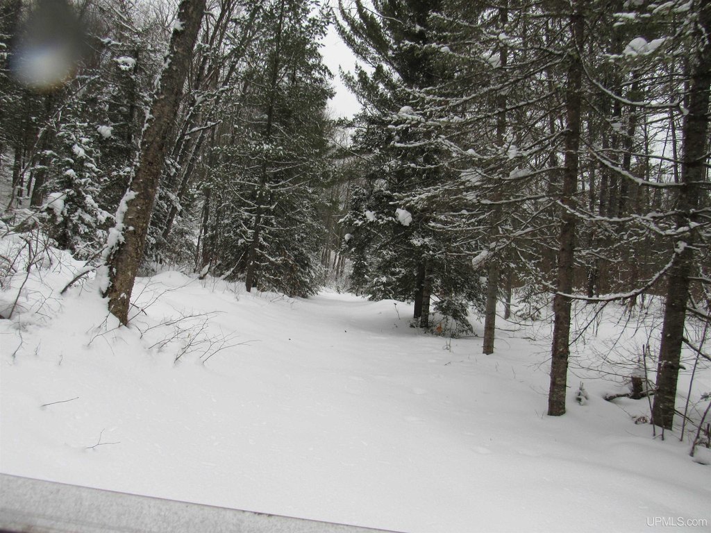 Picture 25