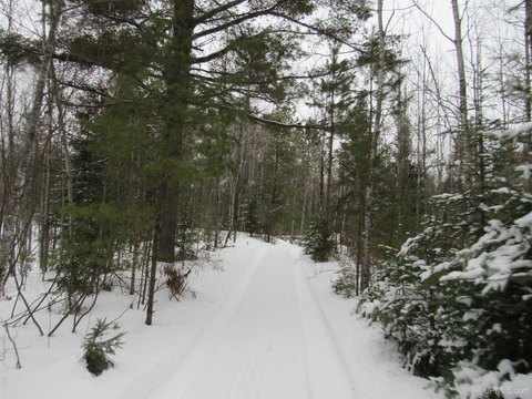 Michigan Recreational Land For Sale