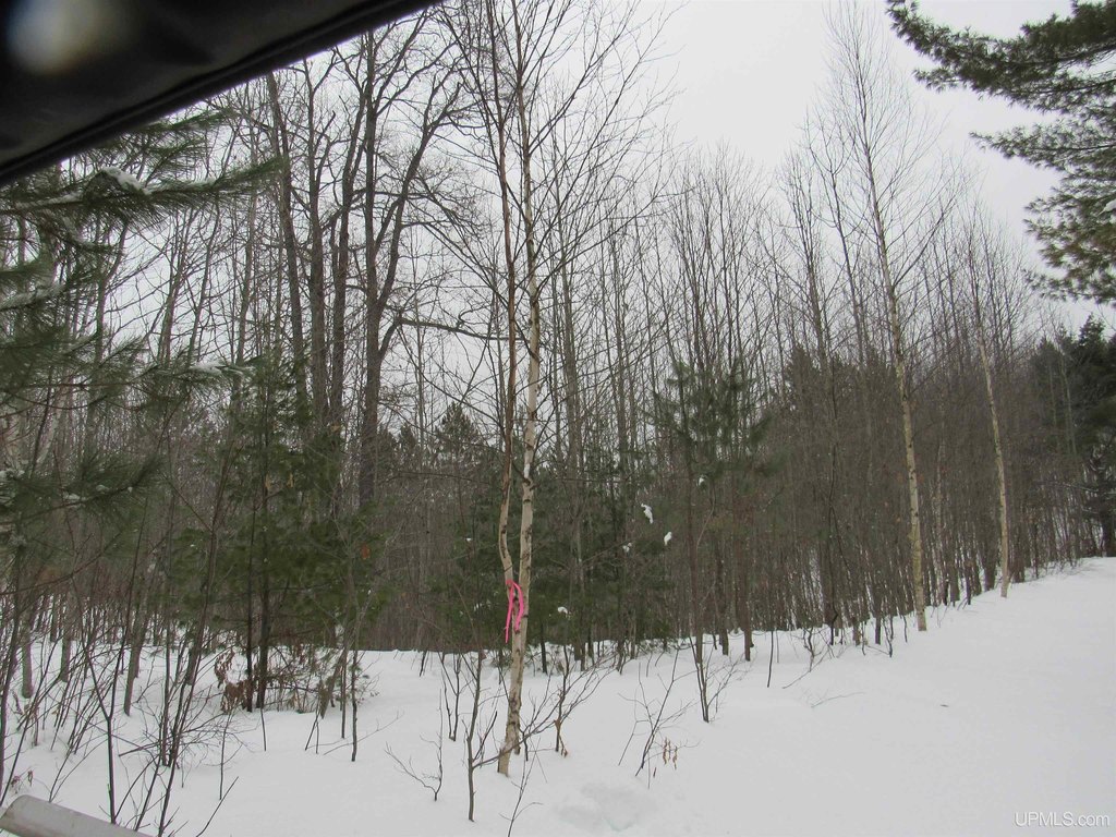 Picture 7
