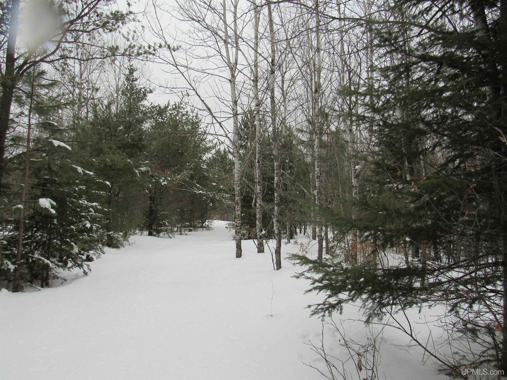 Picture 13