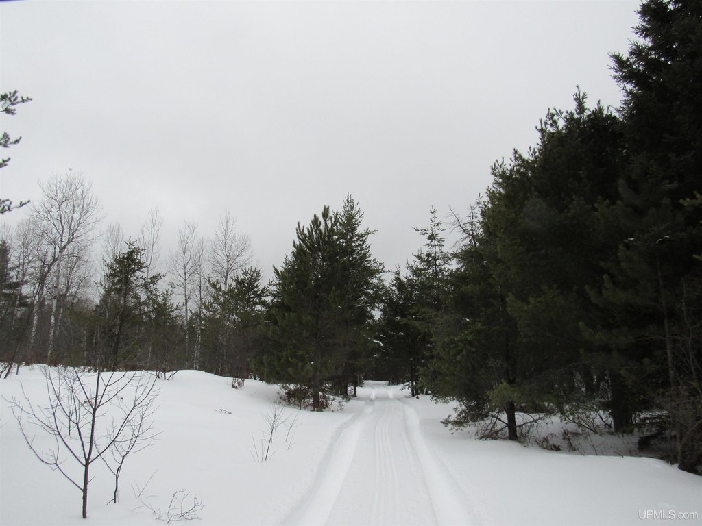 Picture 41