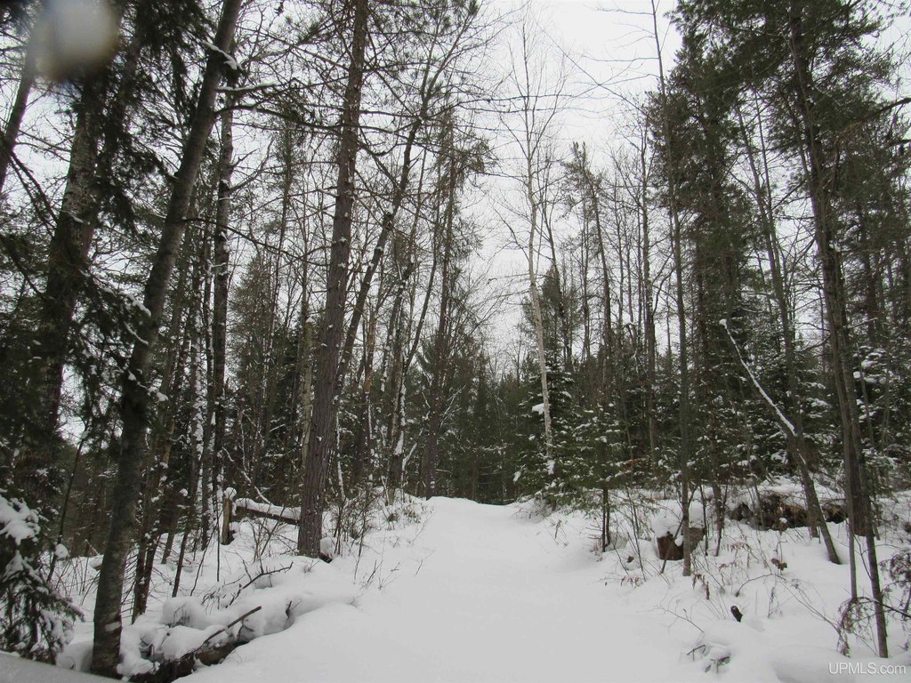 Picture 19