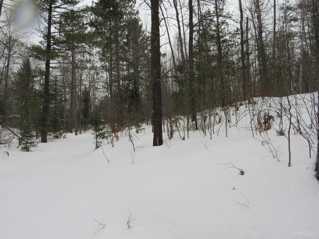 Picture 22
