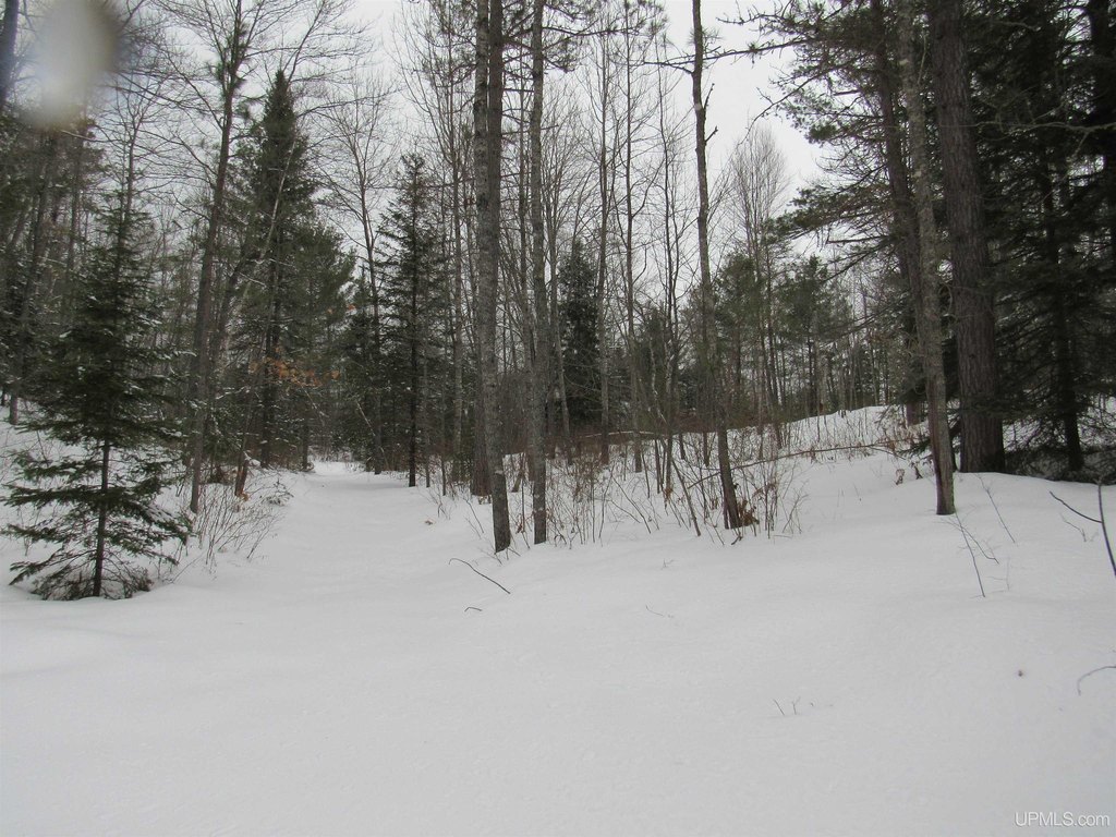 Picture 23