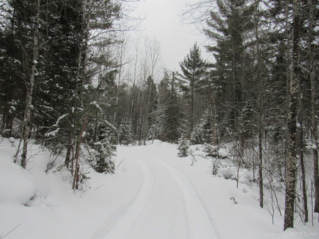 Picture 36
