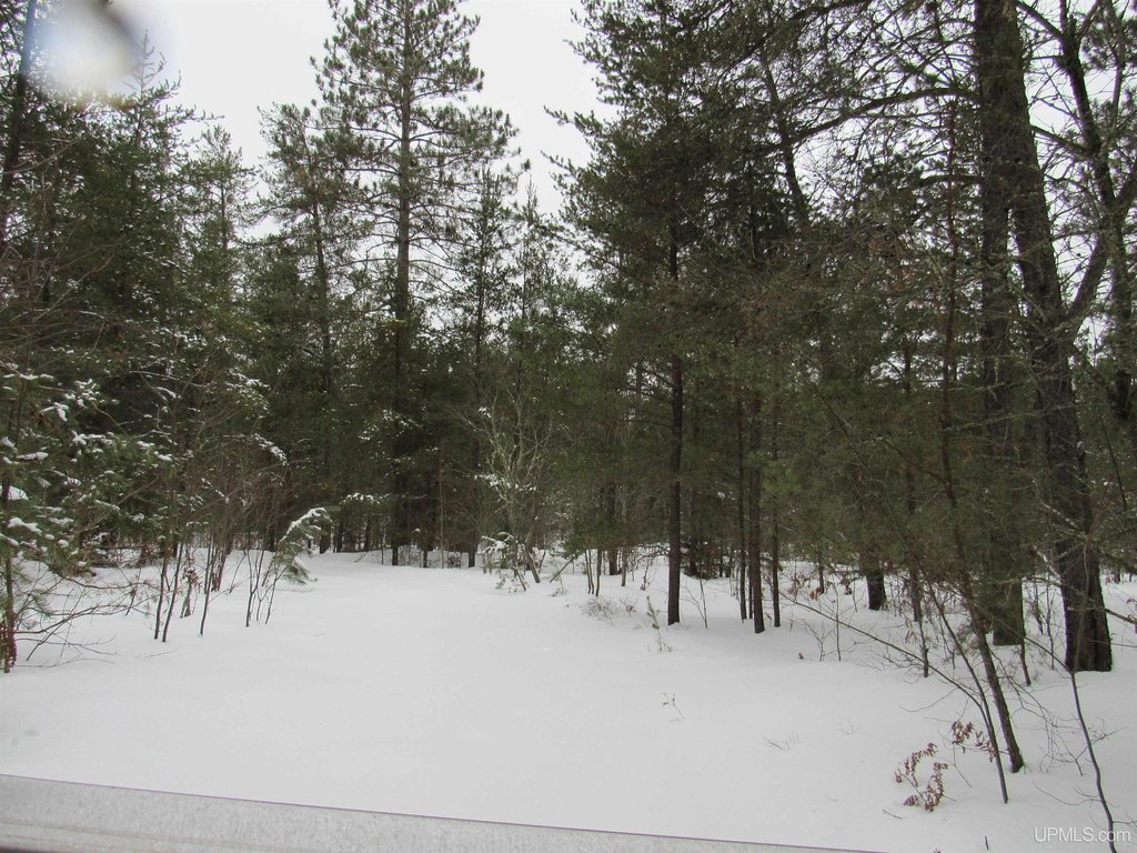 Picture 9
