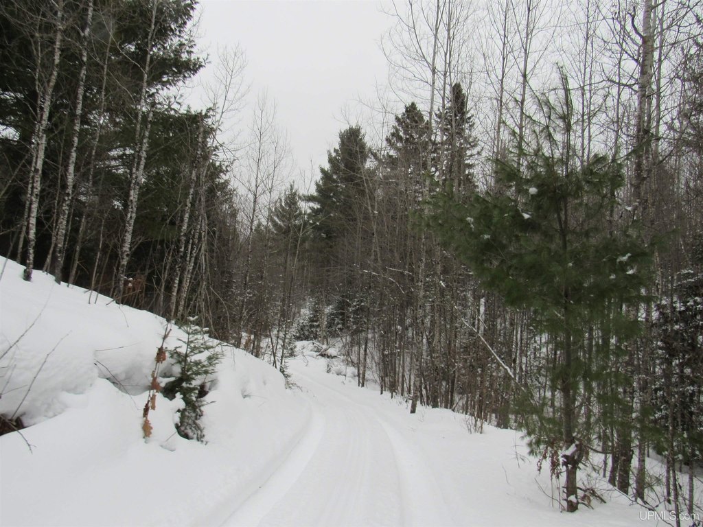 Picture 35