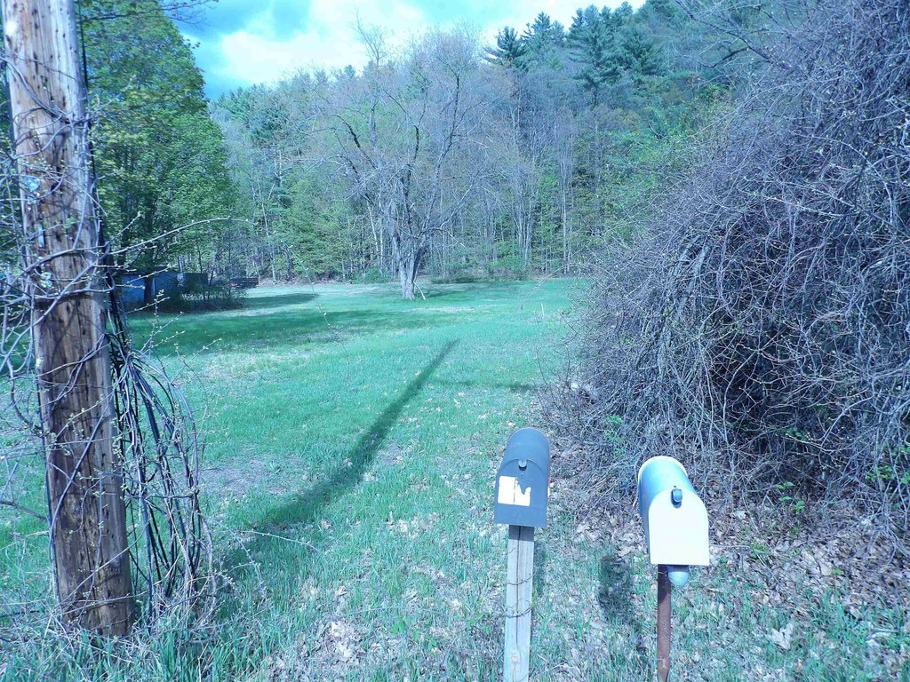 Picture 9