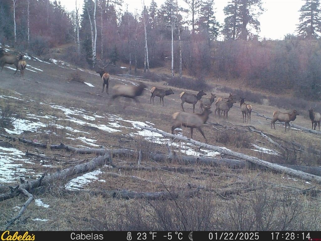 Picture 4