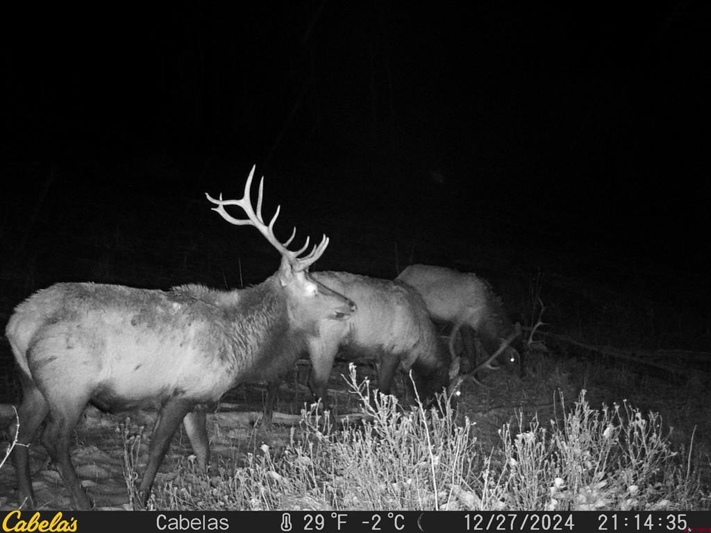 Picture 3