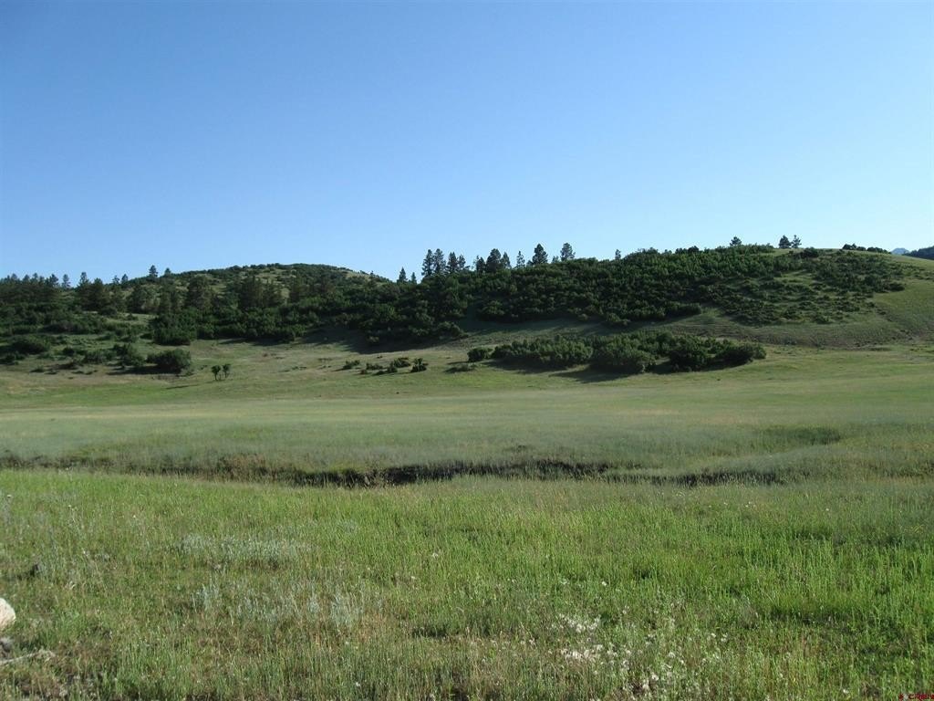 Picture 31