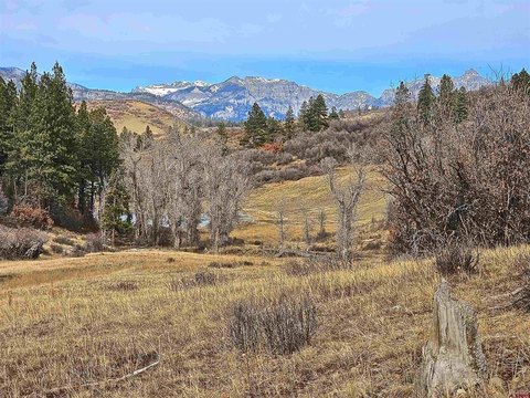 931+ Acres in Pagosa Springs