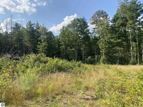 BALDWIN, MI