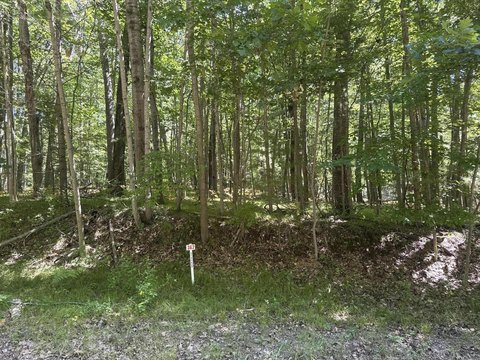 Land, Stanwood, MI