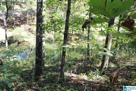 Lakefront Residential Land Lot