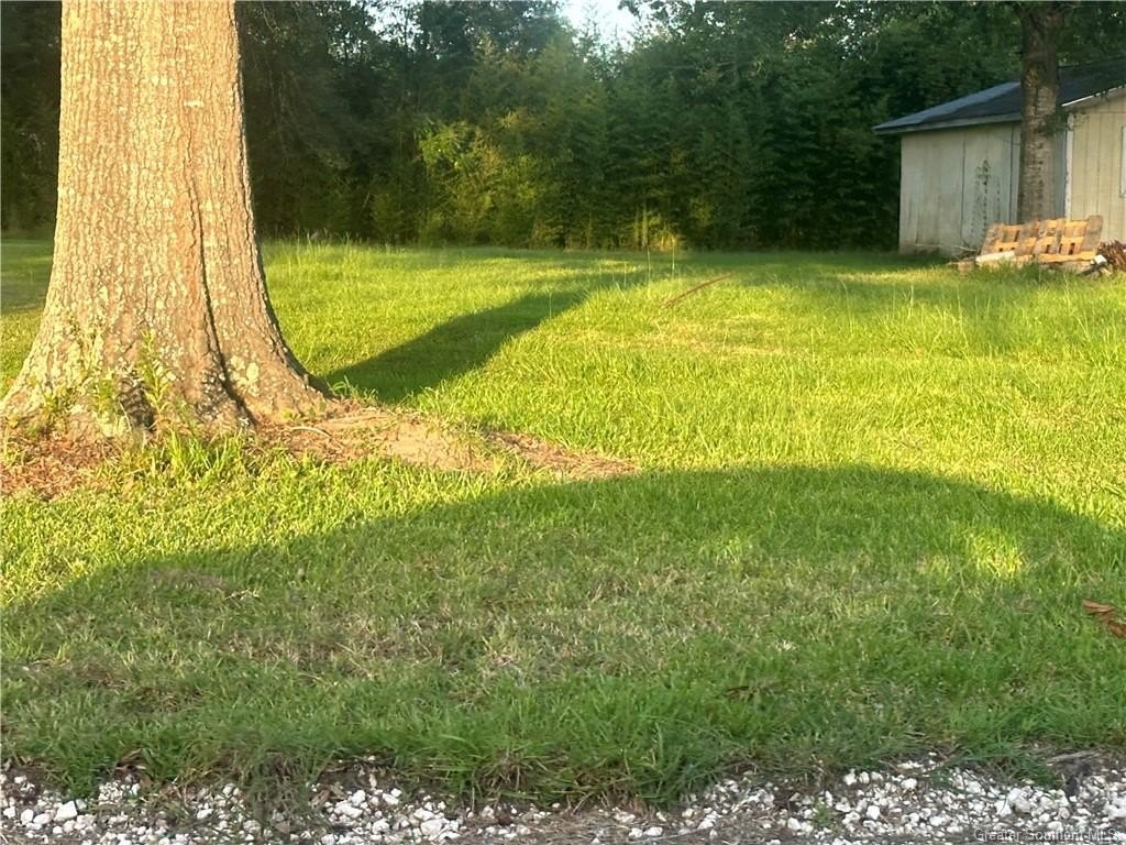 Picture 3