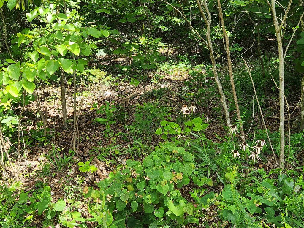 Picture 14