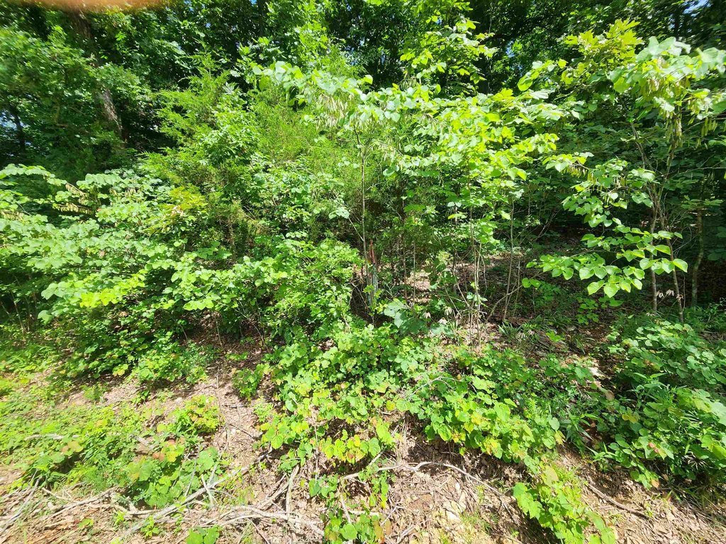 Picture 7