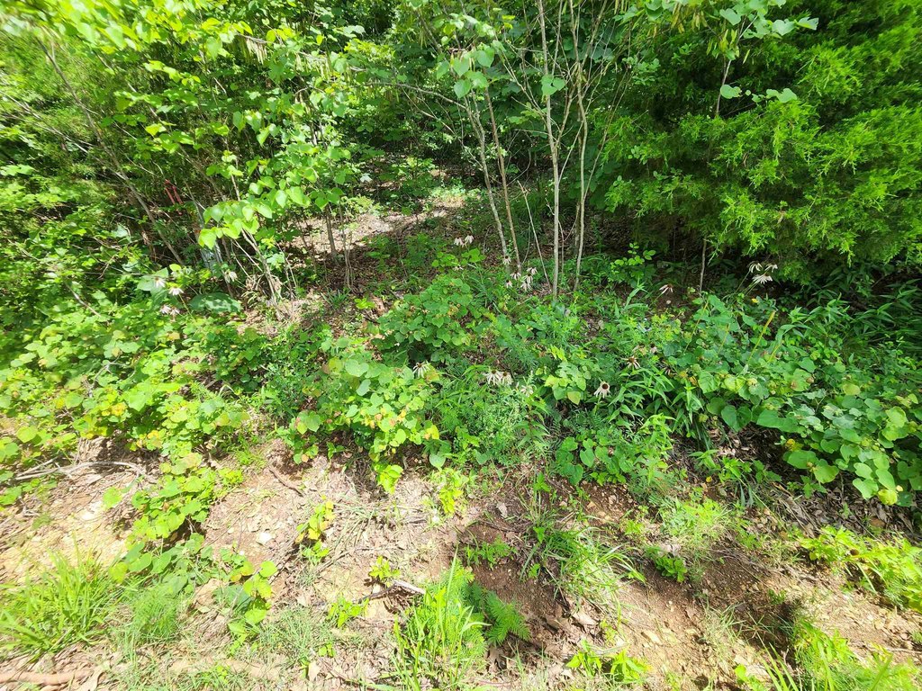 Picture 13