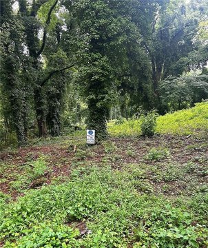 Dixie Hills Land Opportunity