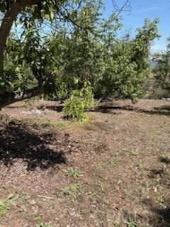 Picture 26