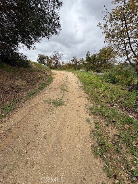 Picture 17