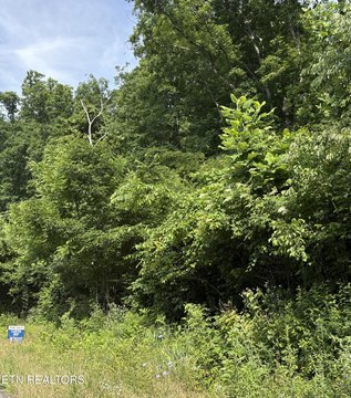 Timbered Land Tract with Road Frontage