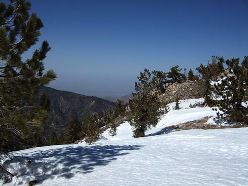 Picture 14