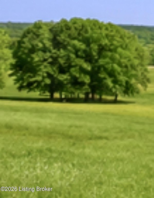Picture 30