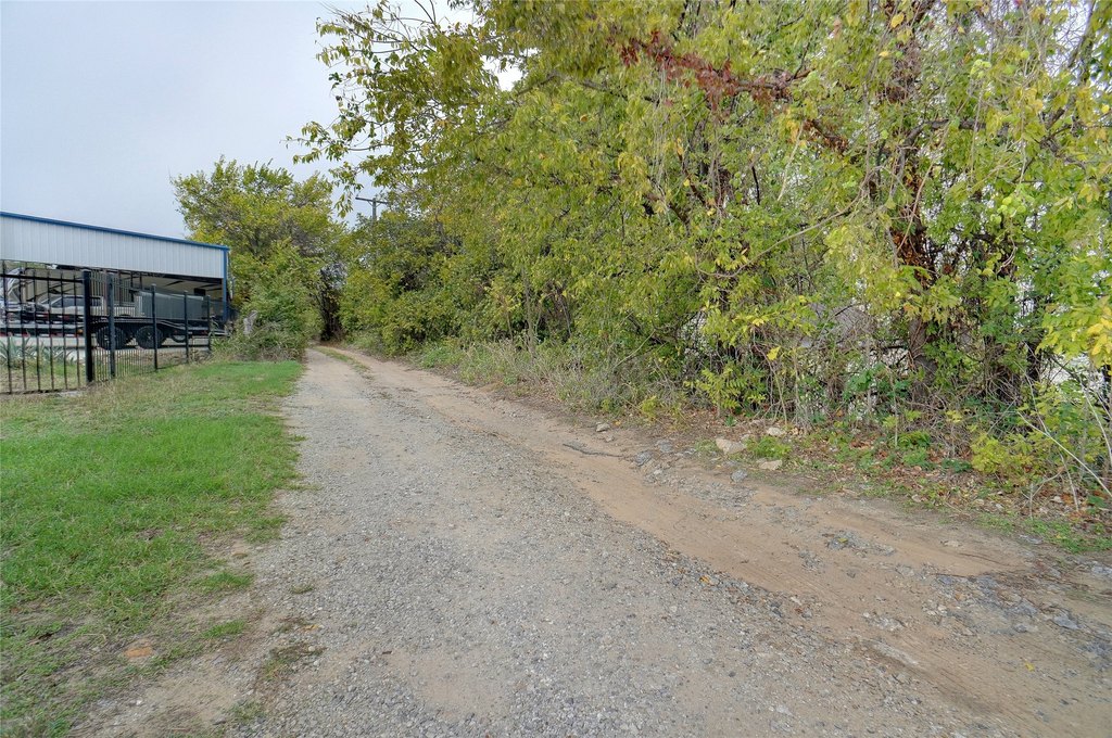 Picture 23