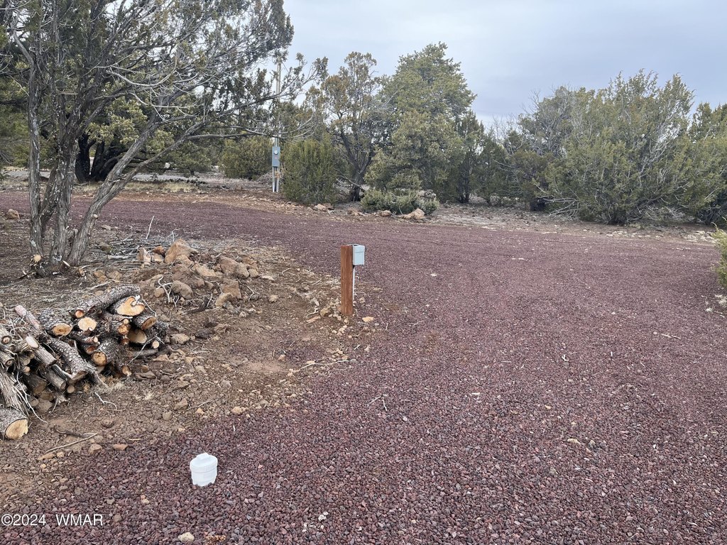 Picture 15