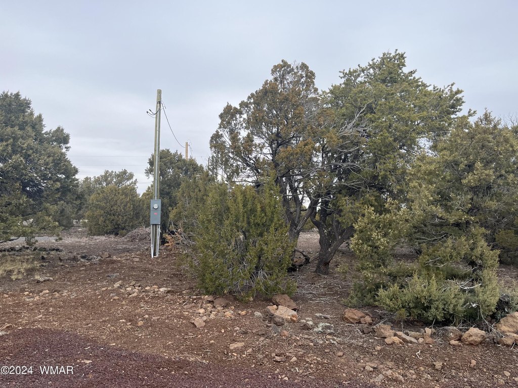 Picture 16
