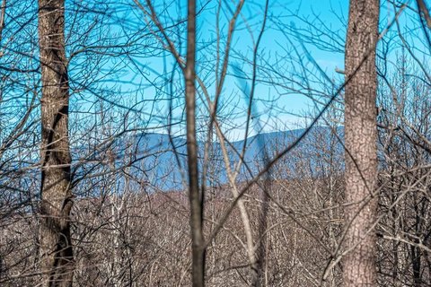Ellijay Land in Gated Community