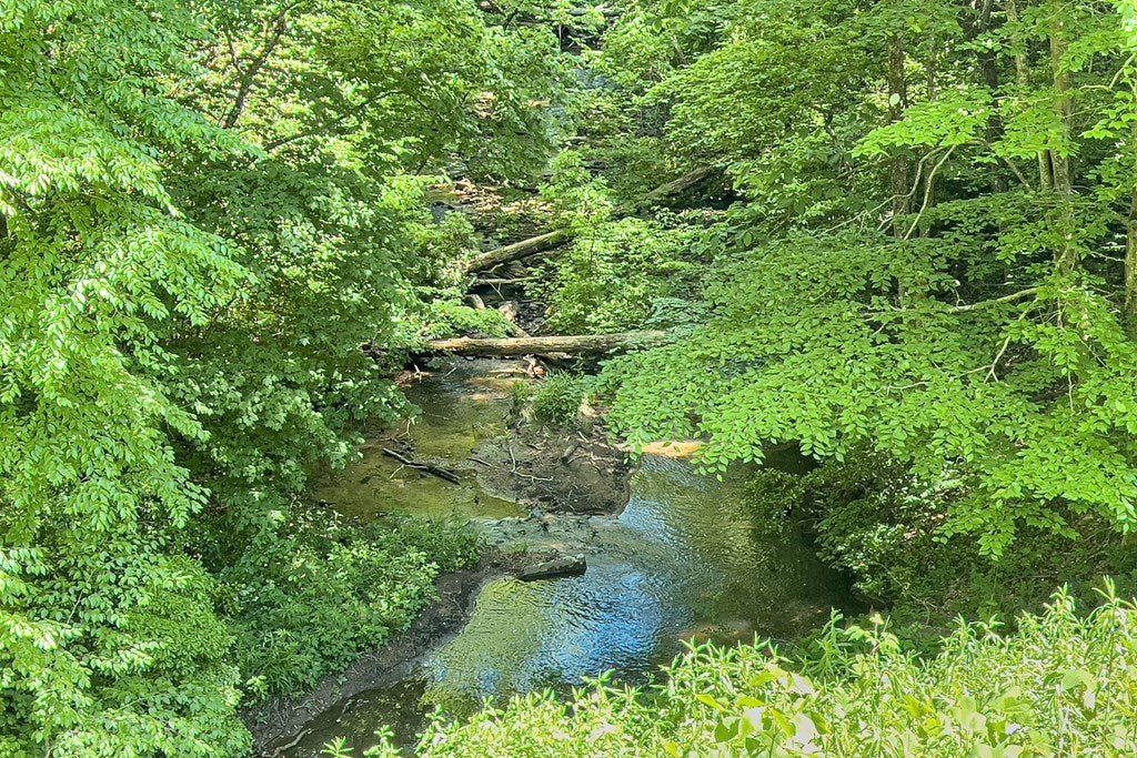 Picture 44