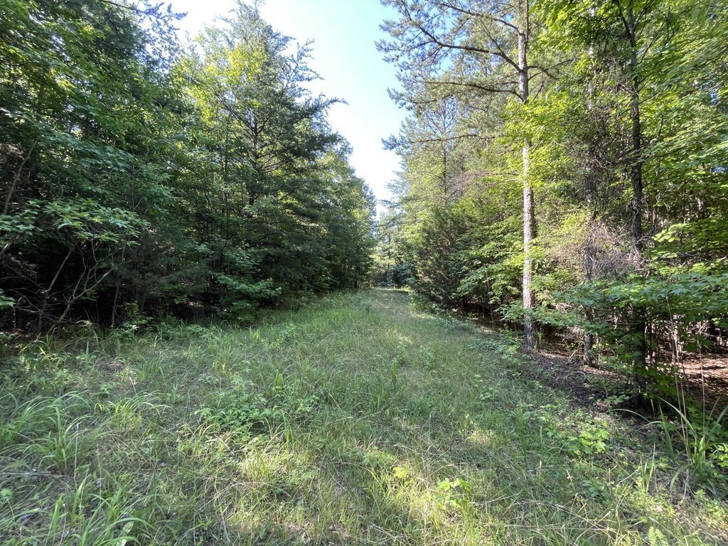 Picture 13
