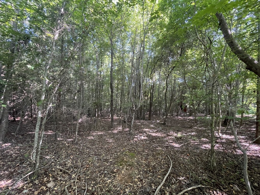Picture 23