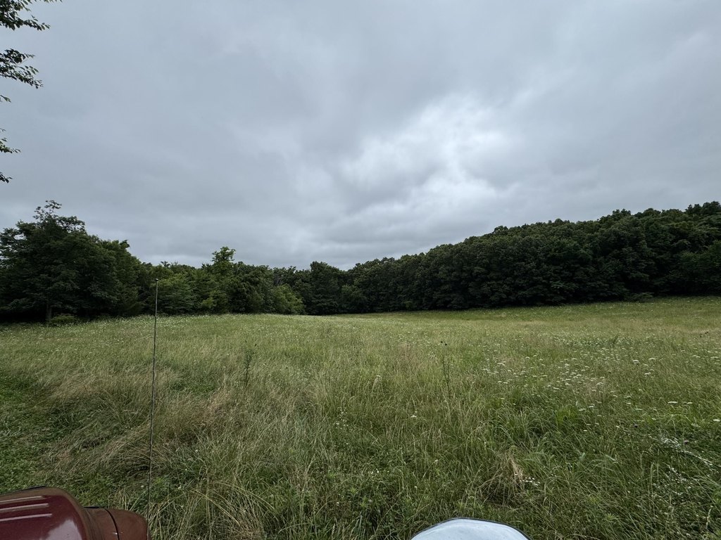 Picture 36
